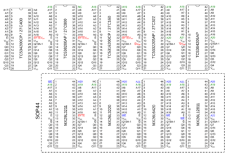 pinout eproms40to44.png